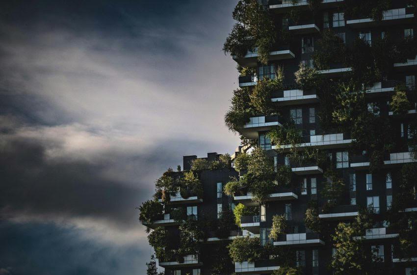 Edifícios Biofílicos: Conectando Pessoas à Natureza