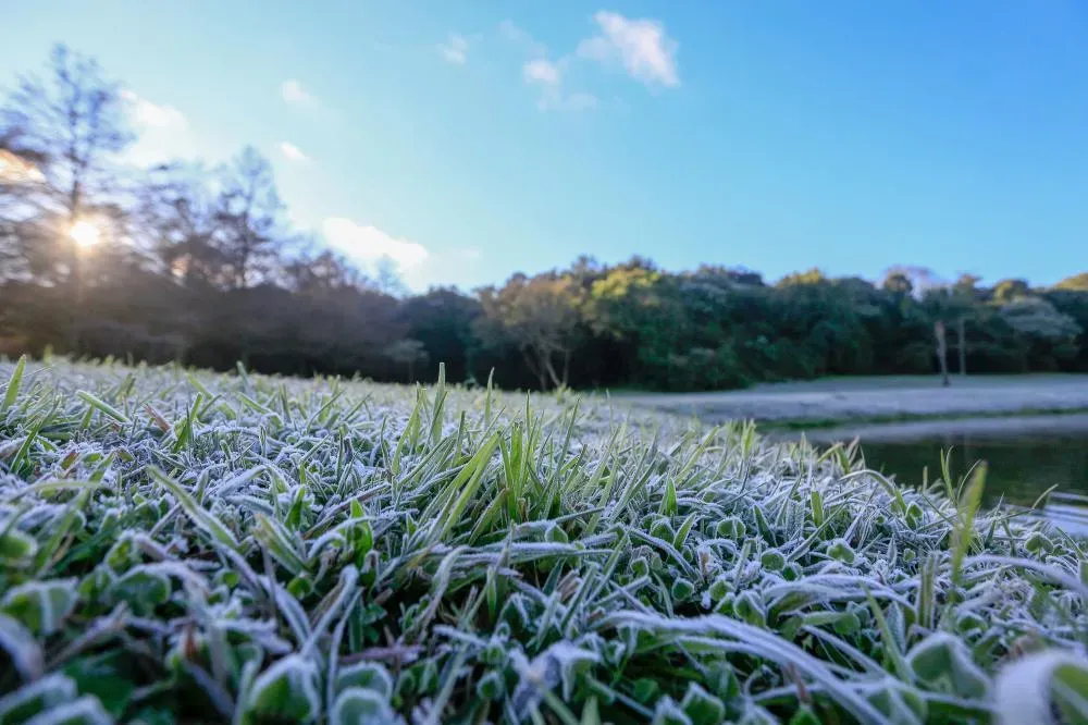 Várias cidades do Paraná registram a menor temperatura do ano