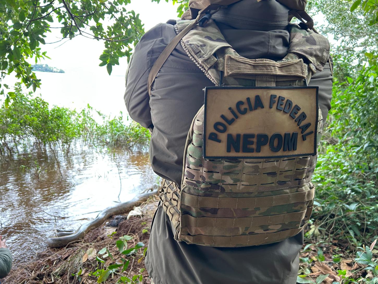 Equipe do NEPOM-PF participa de operação para captura e devolução de Cobra Sucuri à natureza