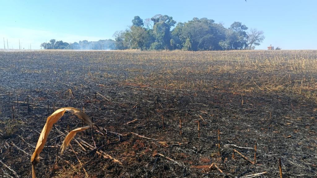 Incêndio em lavoura mobiliza bombeiros e agricultor nesta tarde em Toledo