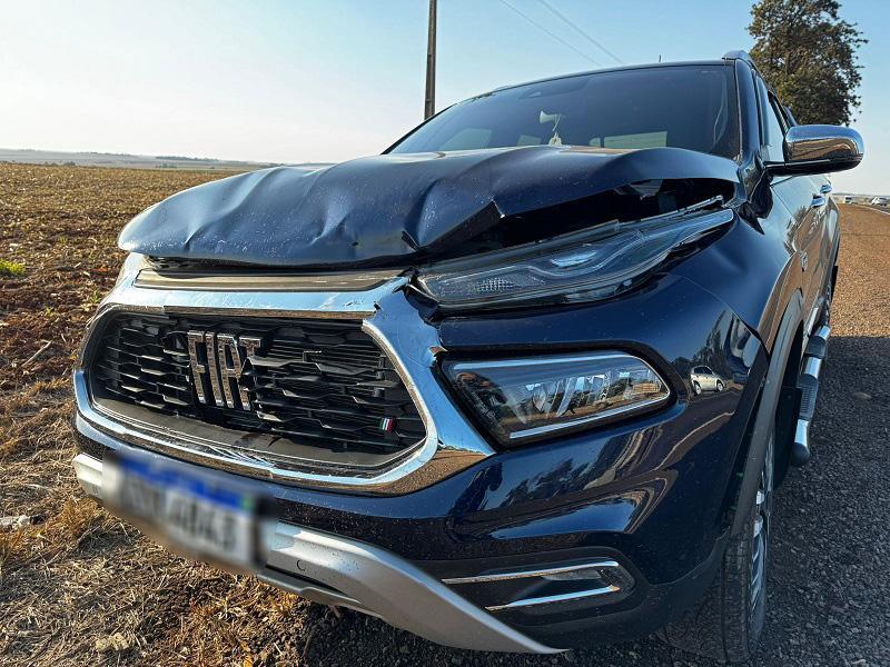 Fiat Toro colide com vaca na PR-182, em Maripá, e deixa veículo danificado