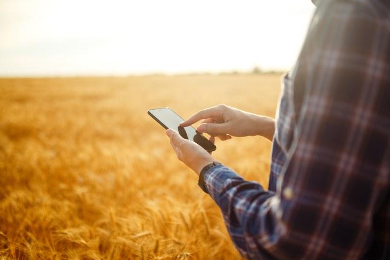 A tranquilidade no campo: Seguro Rural do Sicoob como escudo contra perdas