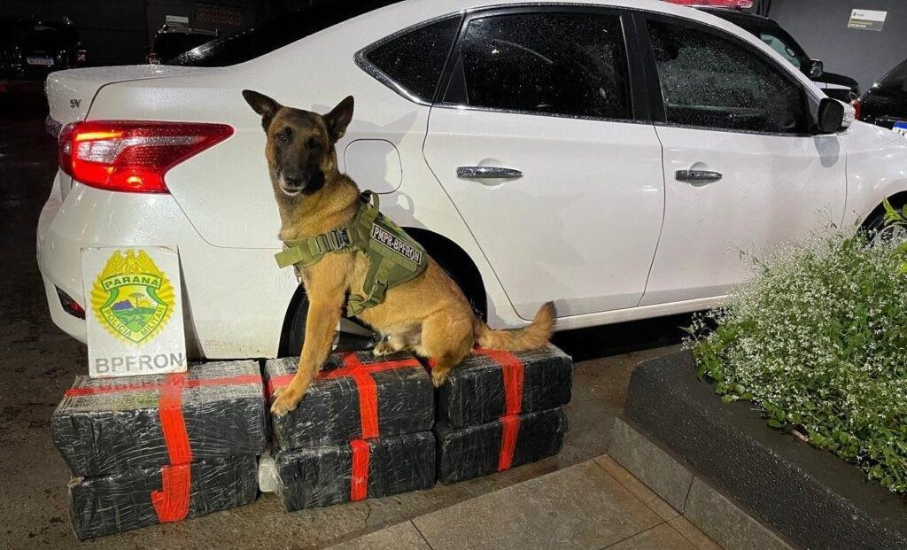 Após fuga de Marechal a Vila Nova, carro com droga bate contra meio-fio e rapaz é preso