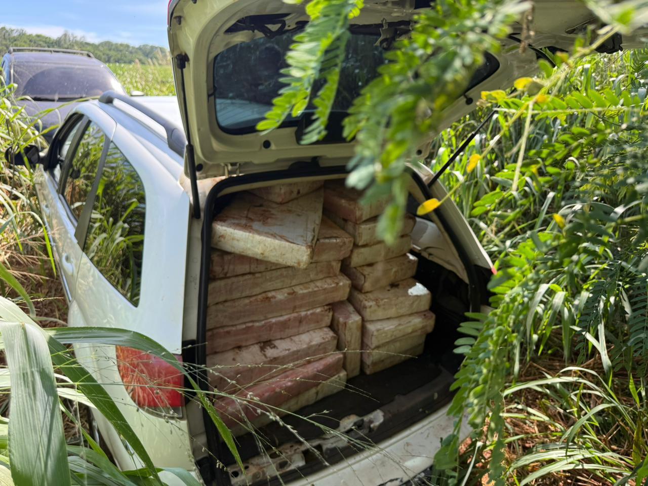 PF apreende mais de 1 tonelada de maconha na região