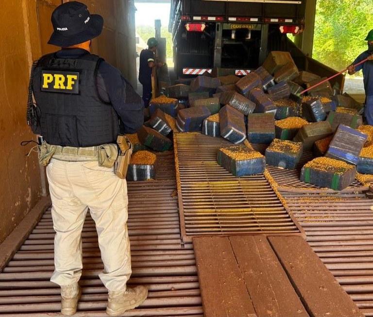 PRF apreende mais de 2,5 toneladas de maconha na BR-163 em Guaíra