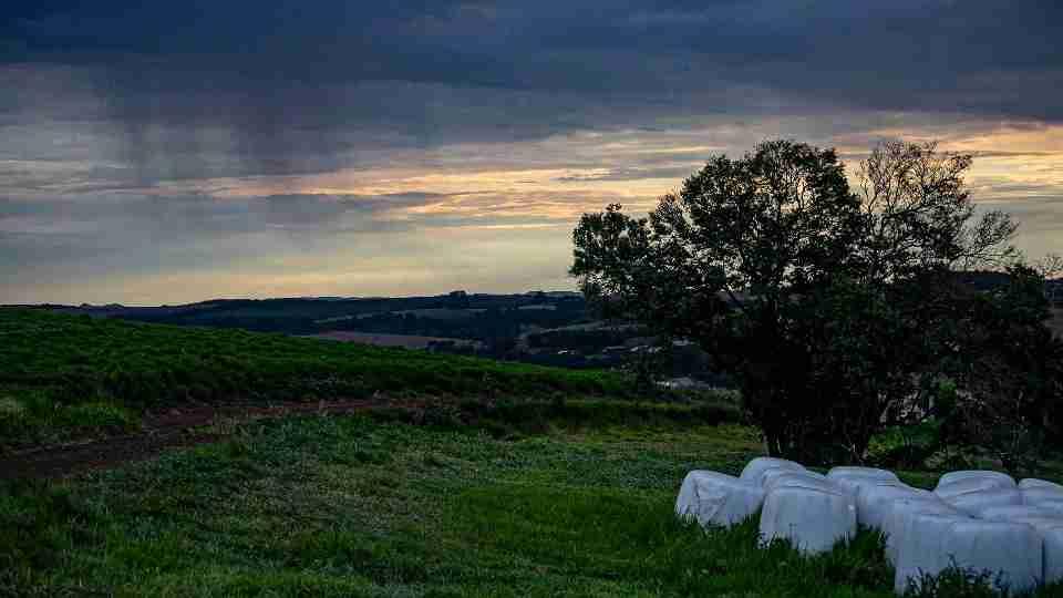 El Niño volta a se formar e pode atingir forte intensidade até a primavera de 2026